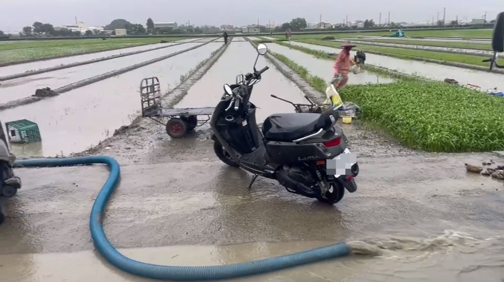 蔬菜產區大雨成災 陳吉仲:現金救助可望採「氣象數據」認定以簡化勘災