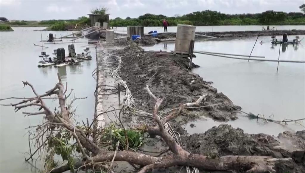 豪雨重創損失近5千萬 魚、菜價飆漲過半「買不下去」