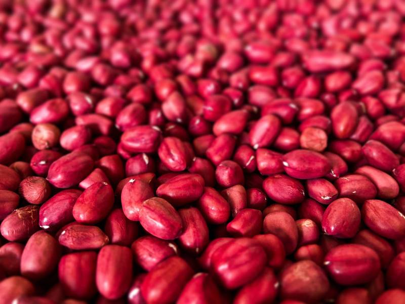 紅豆湯助補鐵?食藥署:動物性食物含鐵量更高