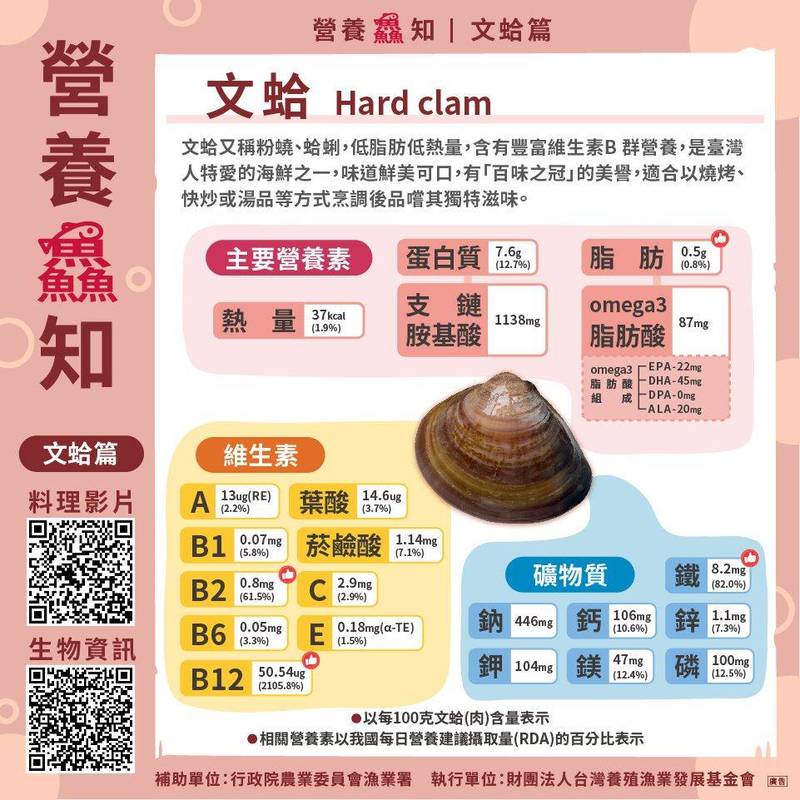 文蛤好處多!低膽固醇又能提高免疫力