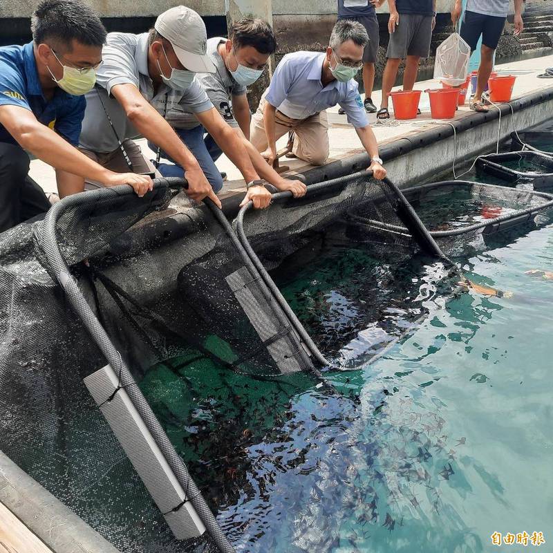 民間與官方攜手,澎湖亞果遊艇碼頭成立類保護區