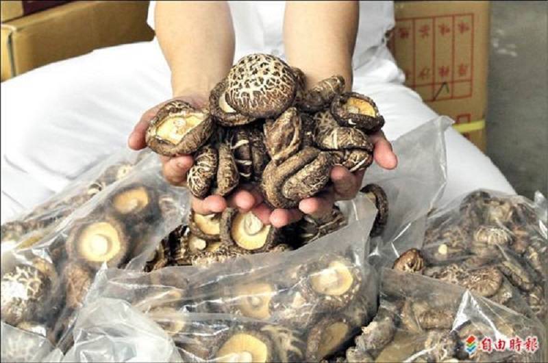 中國香菇氣味淡,4招認明台灣產