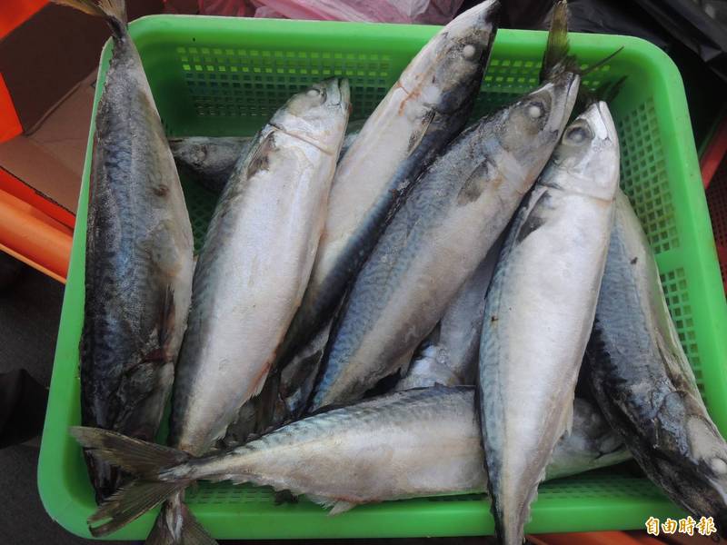 12種低重金屬好魚護心 Omega-3含量第一名是「它」