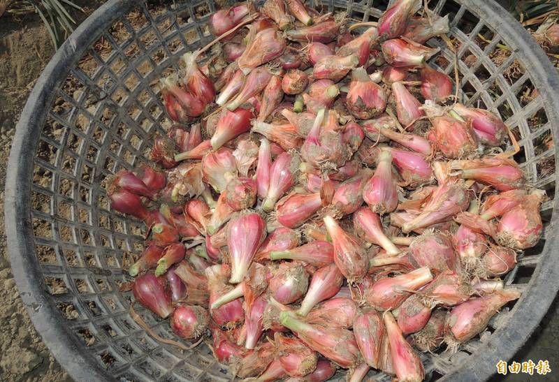 紅蔥頭超百搭 農糧署教4種料理方式