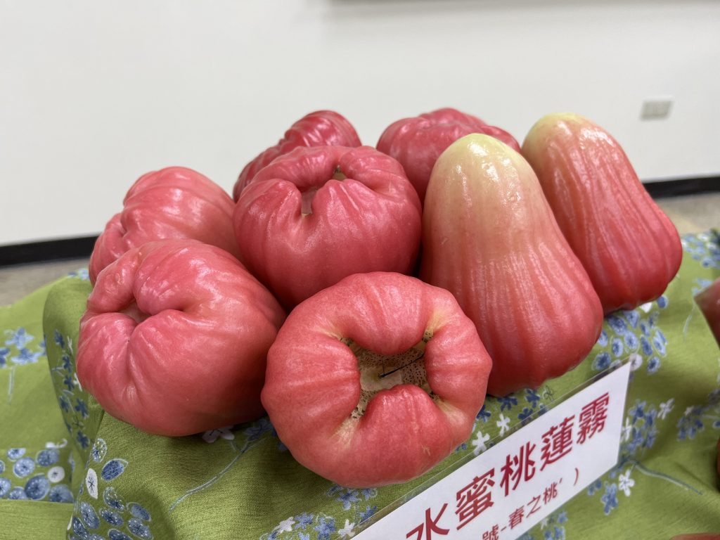 為禮盒而生!「水蜜桃蓮霧」創粉紅商機每公斤近千元